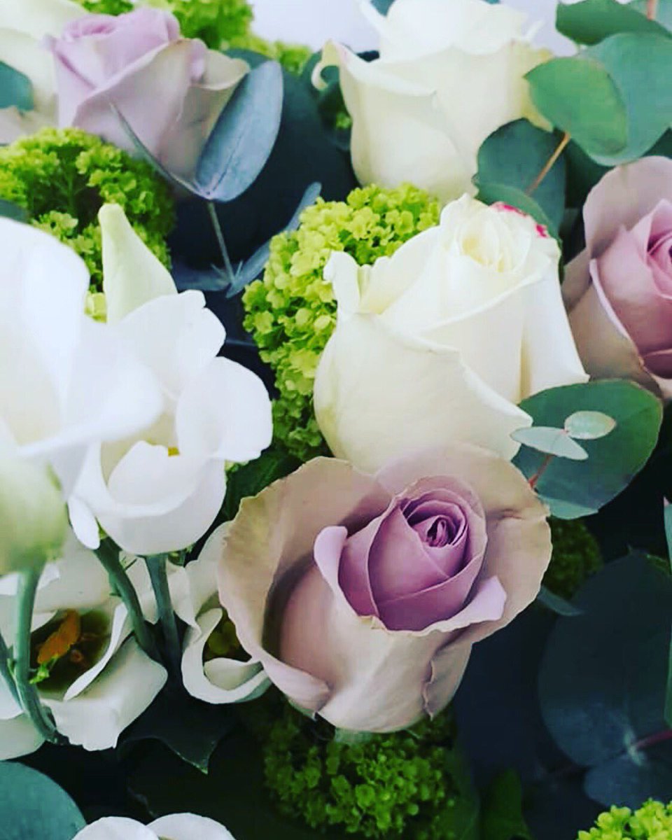 We absolutely love These Amnesia Roses they are a unique vintage colour blend of beige, lilac & green.  #medway #medwaytowns #strood #stroodflorist #rochester #rochesterflorist #kentflorist #kentweddingflorist #pickaposy #pickaposyflorist