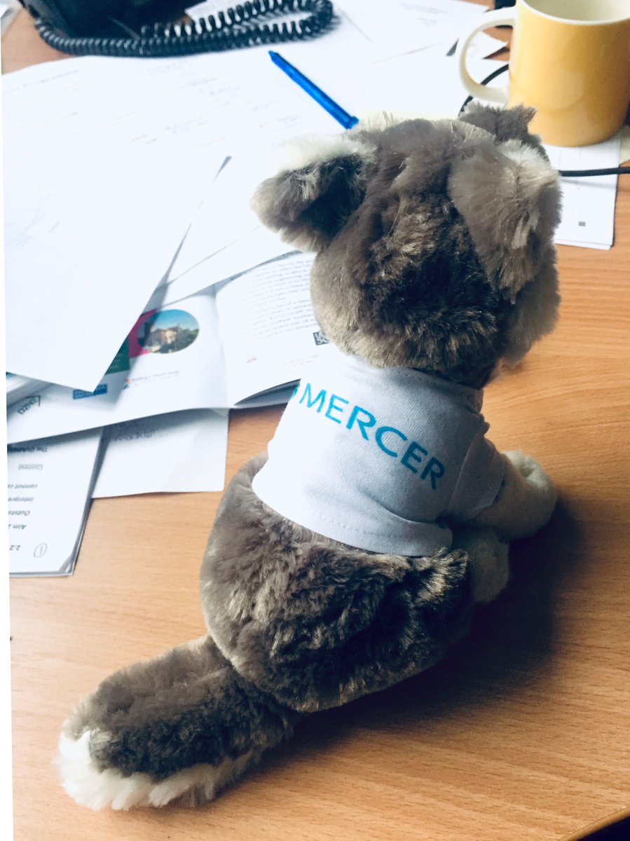 Thanks so much @paulliptrotart and @LboroFD for my lovely surprise #mercer wolf gift yesterday! #sothoughtful #beingamercer @lifeatmercer