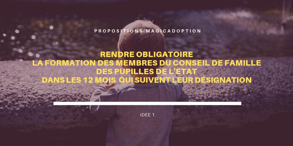 magicadoption's tweet image. #MesPropositionsAdoption
Des préconisations réalisées suite à mes rencontres en CdFPE, en consultation #adoption, auprès d'invités du monde adoption à la webradio @association_vda , auprès d'#EFA et travaillées lors du DU Adoption d'Angers en 2018.
@imbertcorinne17 @3807Limon