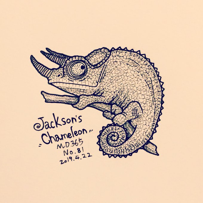 Md365のtwitterイラスト検索結果 Md365のtwitterイラスト検索結果