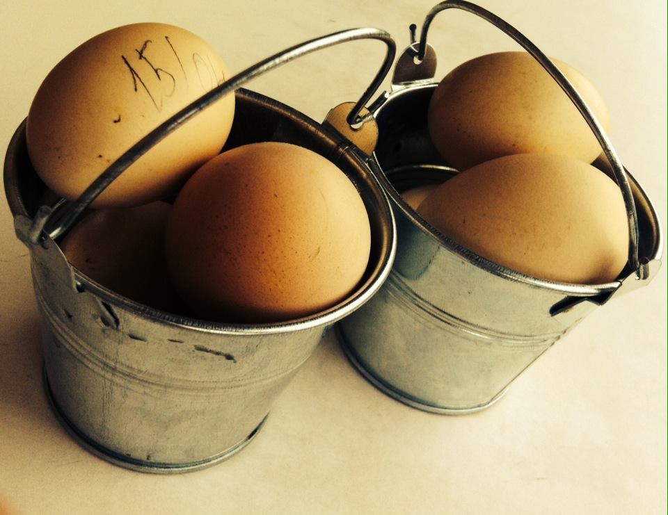 Recién puestos, 
de los de verdad, 
de gallinas felices, 
o libres, 
es lo mismo