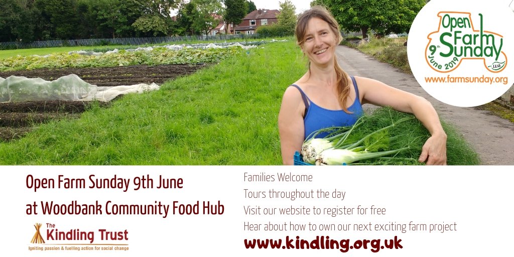 The Kindling Trust tweet media