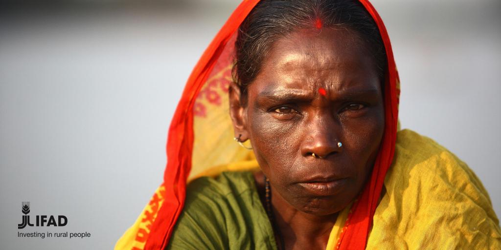 IFAD's tweet photo. Women are fundamental to economic and social development. ♀

Despite broad progress in recent years, no country in the world has yet achieved full #genderequality. 

The disparities in the rural areas of developing countries are particularly acute. 

#InvestInRuralPeople https://t.co/8xMyooTo0Q