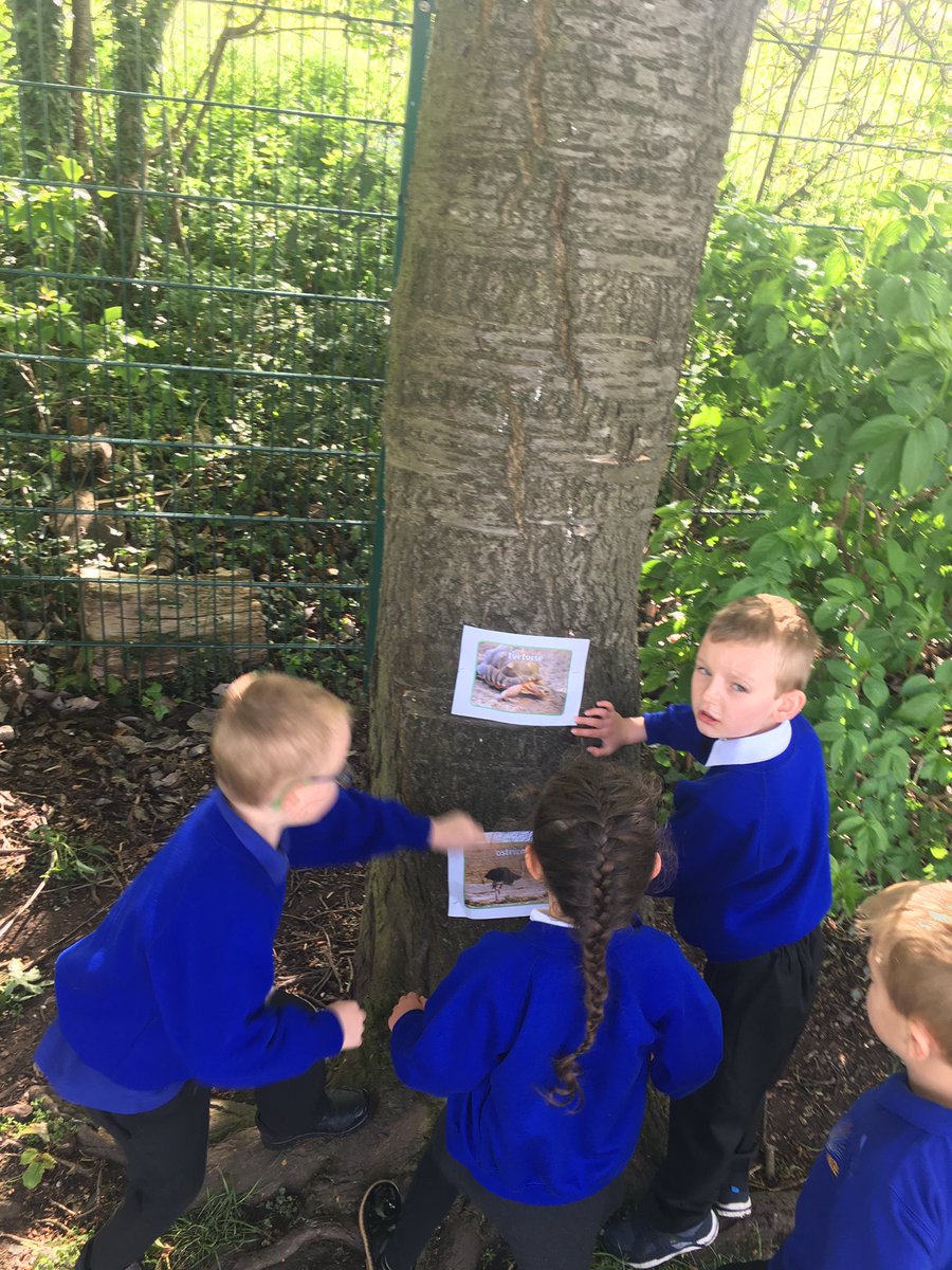 HeronClass's tweet photo. We are on safari on the field for our #fit15 this morning ~ we are going on a journey to discover all the different animals that have been hidden 🔎 https://t.co/zQXrtkQNKf