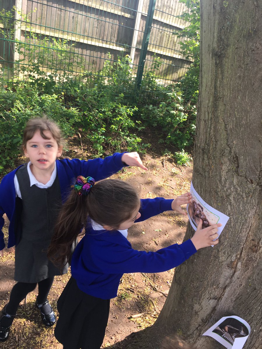 HeronClass's tweet photo. We are on safari on the field for our #fit15 this morning ~ we are going on a journey to discover all the different animals that have been hidden 🔎 https://t.co/zQXrtkQNKf