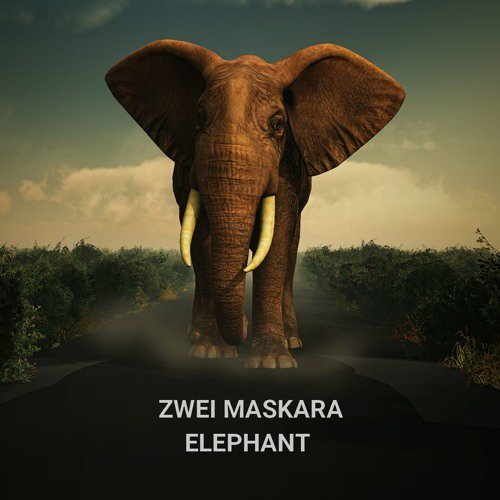 Zwei Maskara - Elephant (Original Mix) by Deja Vu Culture bit.ly/2XMRsyD Techno, Progressive, Peaceful, Ambient, 'Pure Music', 'Calm Music'