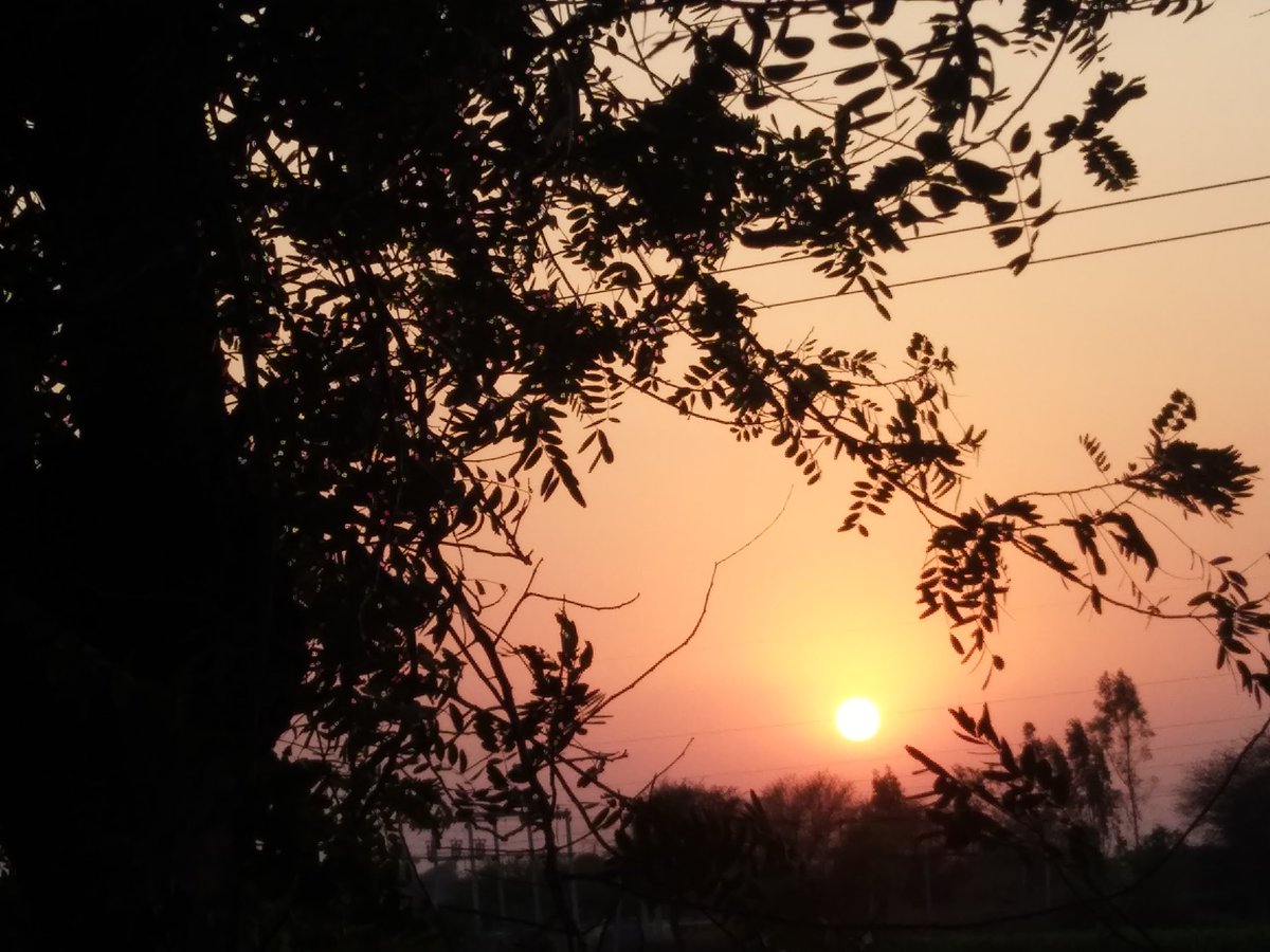 MandlikMeeta's tweet photo. Every  moment  Nature  is busy to creat the something  new .....painting.... https://t.co/hFzmzt0ulY