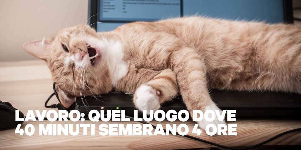 Finalmente è venerdì! Come trascorrerai questo fine settimana? 😁☀
Se cerchi idee, clicca qui: gr.pn/2IINd3Y