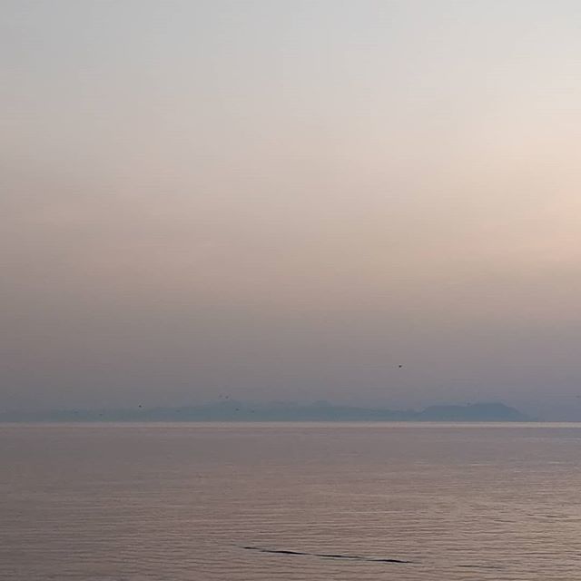 Alooppacom's tweet photo. The place we fell in love with windsurfing and kitesurfing. We are coming back. Over and over again. ♥️
.
.
.
.
.
#alooppa #imroz #gokceadavibes #gokceada #islandlife #islandvibes #homespot https://t.co/Ka4zJx4kZO https://t.co/JLnqp0WuUB