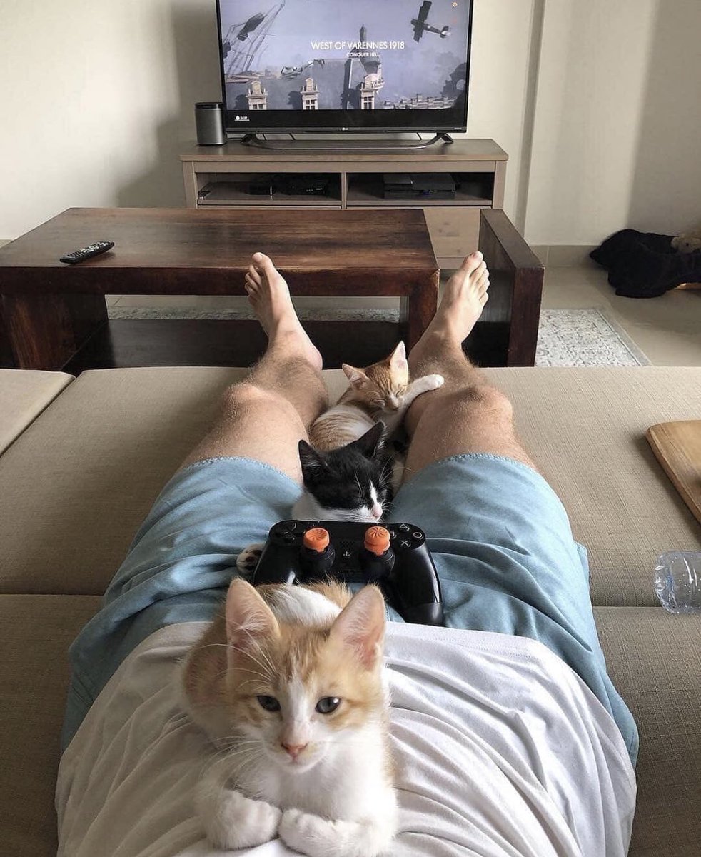 catelteam's tweet photo. actual goals https://t.co/Iq5P5mzjWS