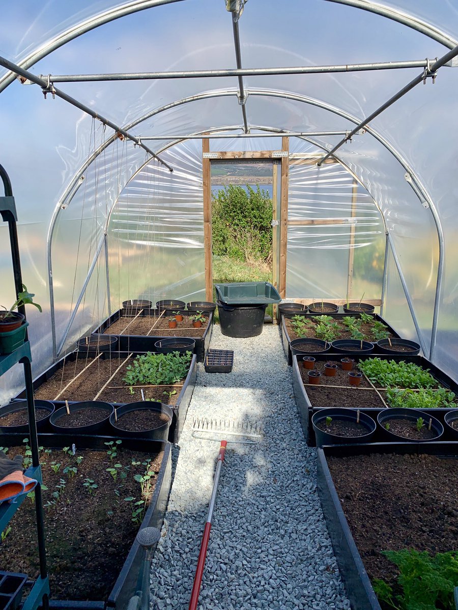 What a difference a few weeks make...
.
#gardening #homegrown #veg #vegetablegarden #fruits #berries #bedandbreakfast #visitscotland #skyetime #isleofskye #skye #islandlife #local #localproduce #bnb #homemadebreakfast