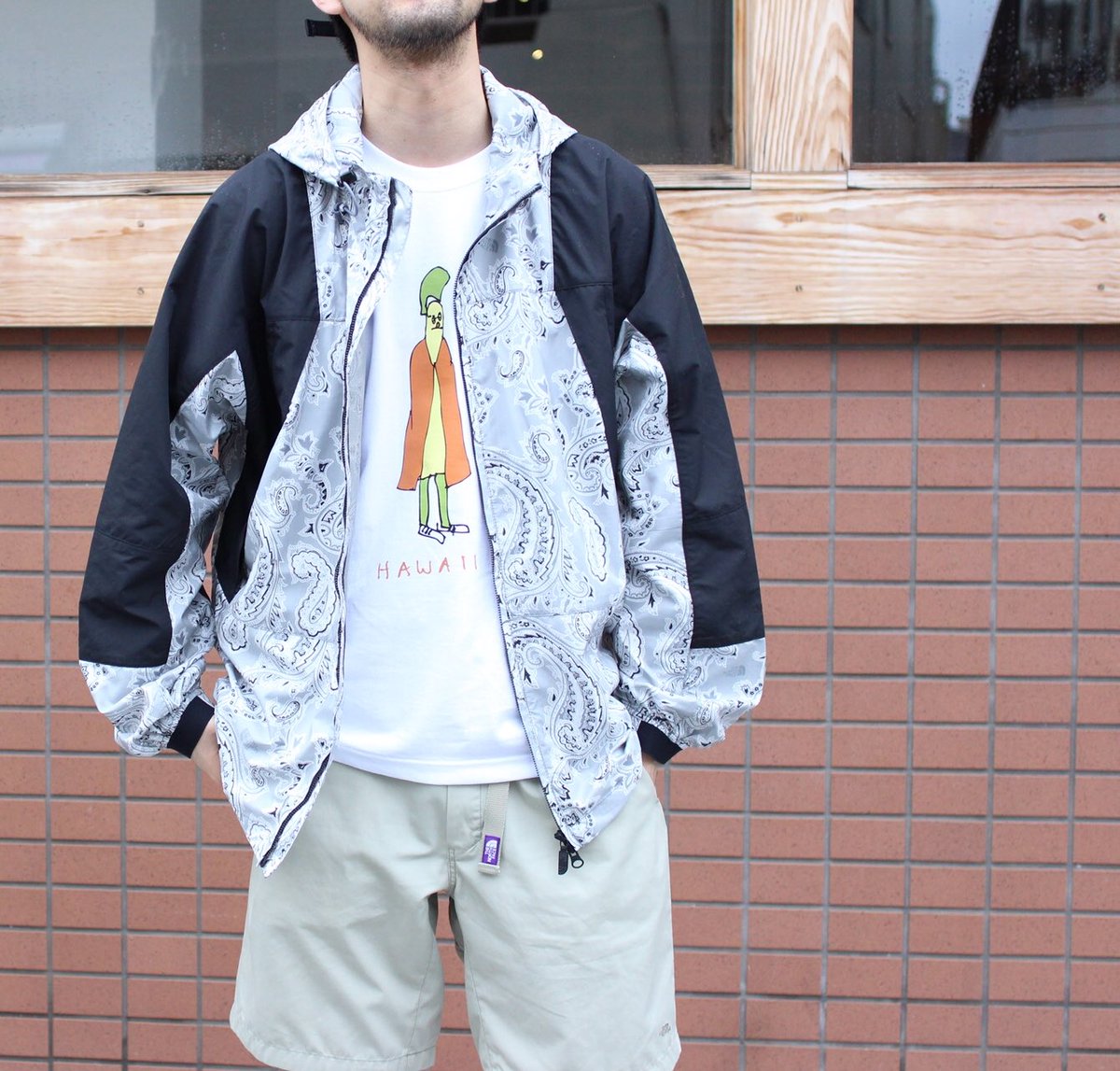 the north face paisley