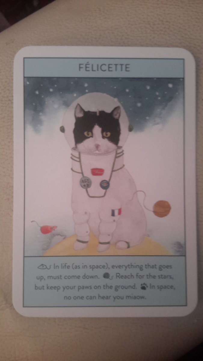 Time for today& #39;s gurus! Didn& #39;t do any yesterday as I didn& #39;t feel too crash hot.Félicette