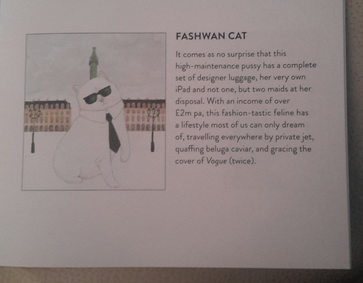 Fashwan Cat