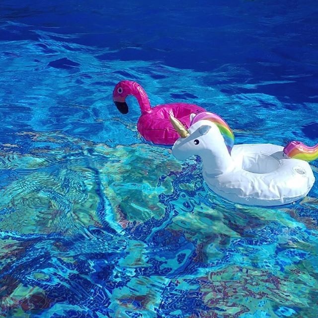 holiday mode 🦄 ☀️🏝
#holiday #mallorca #chilliwilli bit.ly/2GHiXnQ