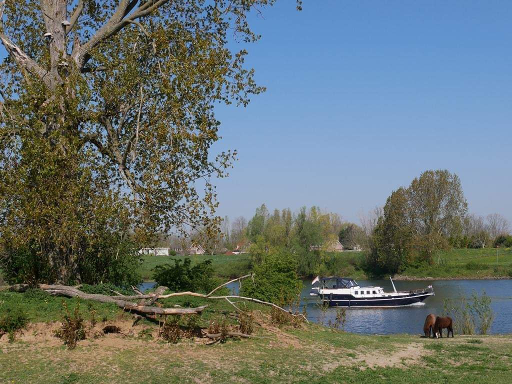 Loop zondag 26 april - 10 uur
mee met onze natuurwandeling 
Struinen langs de Maas
bij de Lithse Ham bij Lith
verzamelen einde Maasstraat, parkeerplaats voor Lithse Ham.
ivn.nl/afdeling/ivn-o…