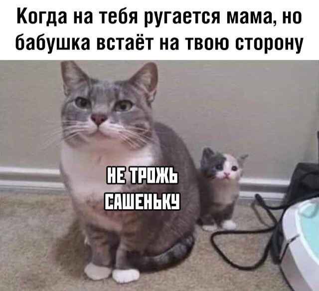 D5Ec0MsWAAI712E?format=jpg&name=small