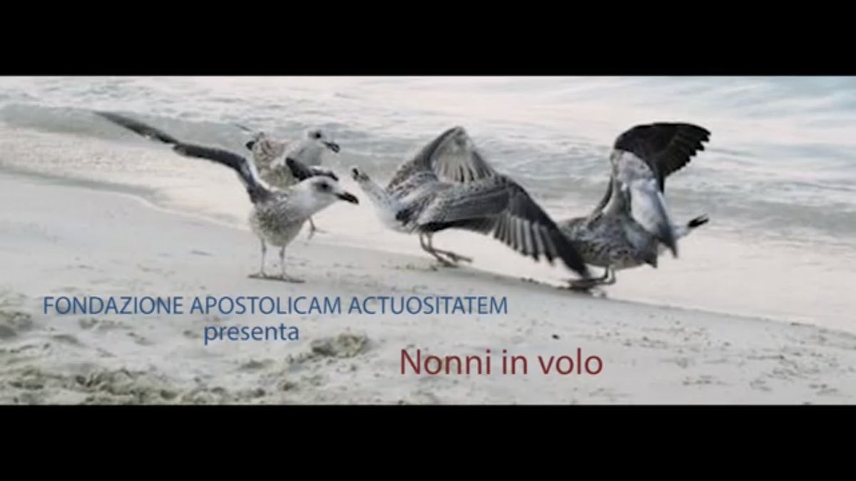 Azione Cattolica tweet media