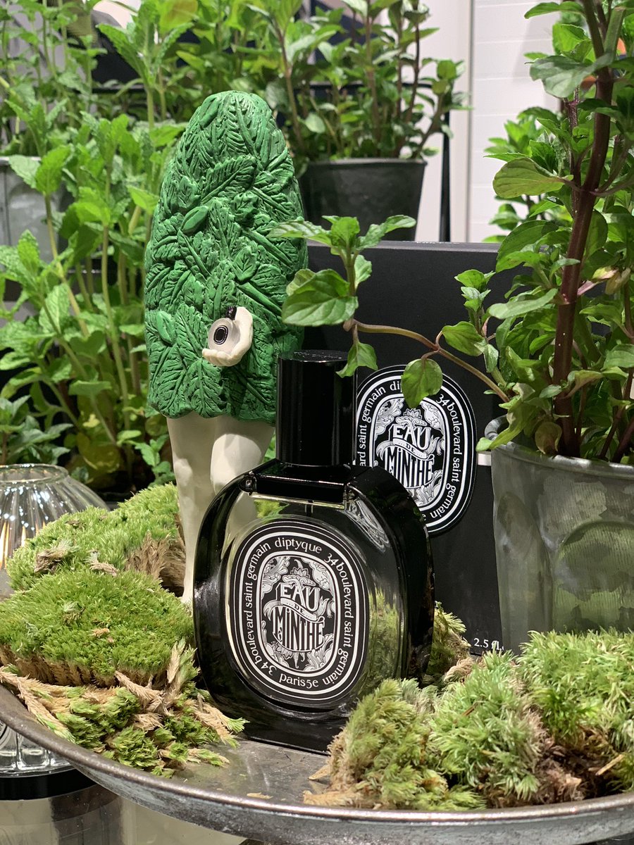 ディプティック　オードミント オードパルファン オー ド ミンテ 75 ml | Diptyque Paris