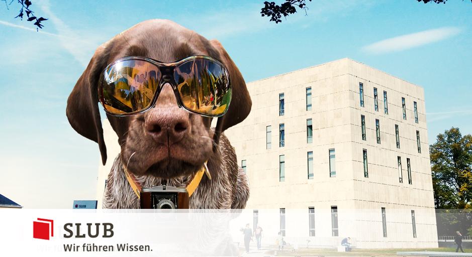 SLUBdresden's tweet photo. #Webredakteur (m/w/d) als Elternzeitvertretung gesucht! Immer eine Text-Idee parat und Lust auf intelligenten, nahbaren Content für #SLUBNutzer, die Wissenschaftscommunity und Dresden? Dann jetzt bei uns bewerben: https://t.co/GeciyIuuah #SLUBJobs #JobsinDresden #DDJobs https://t.co/TaAColLh7q