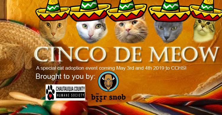 CHQCountyHumane's tweet image. Have you been on an Expawdition, Sight for Barney and more! conta.cc/2XHVNDv