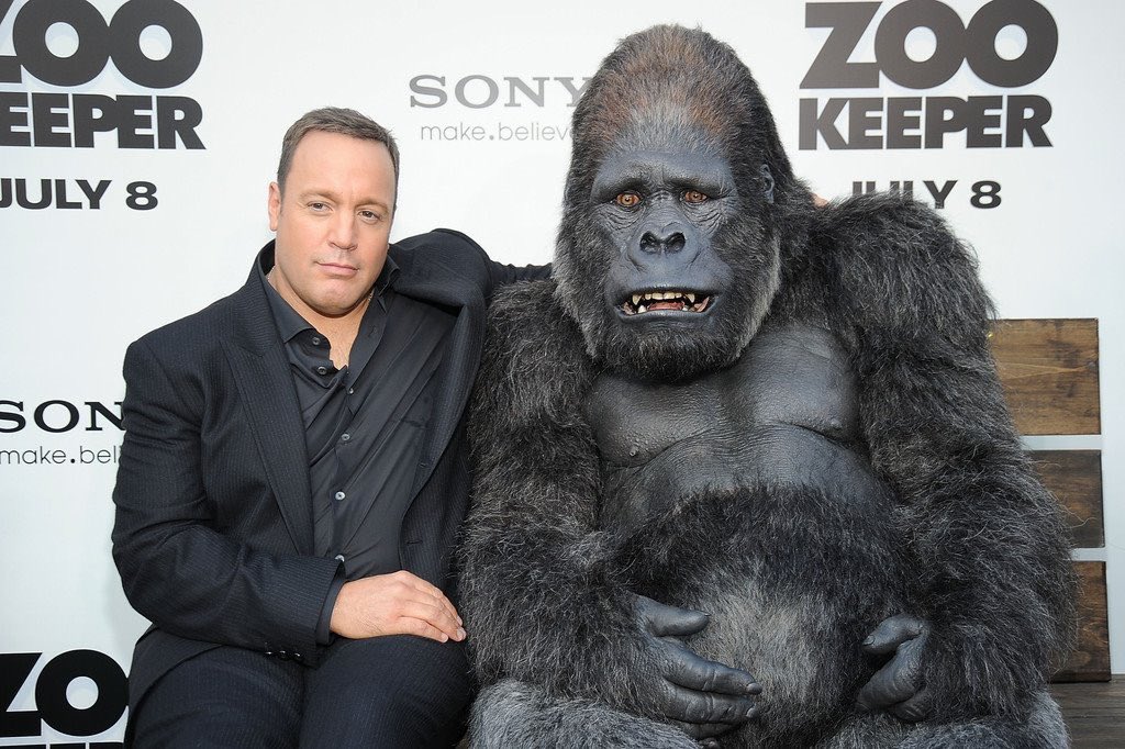 HAPPY BIRTHDAY KEVIN JAMES - 26. April 1965.  Stony Brook, New York, USA 