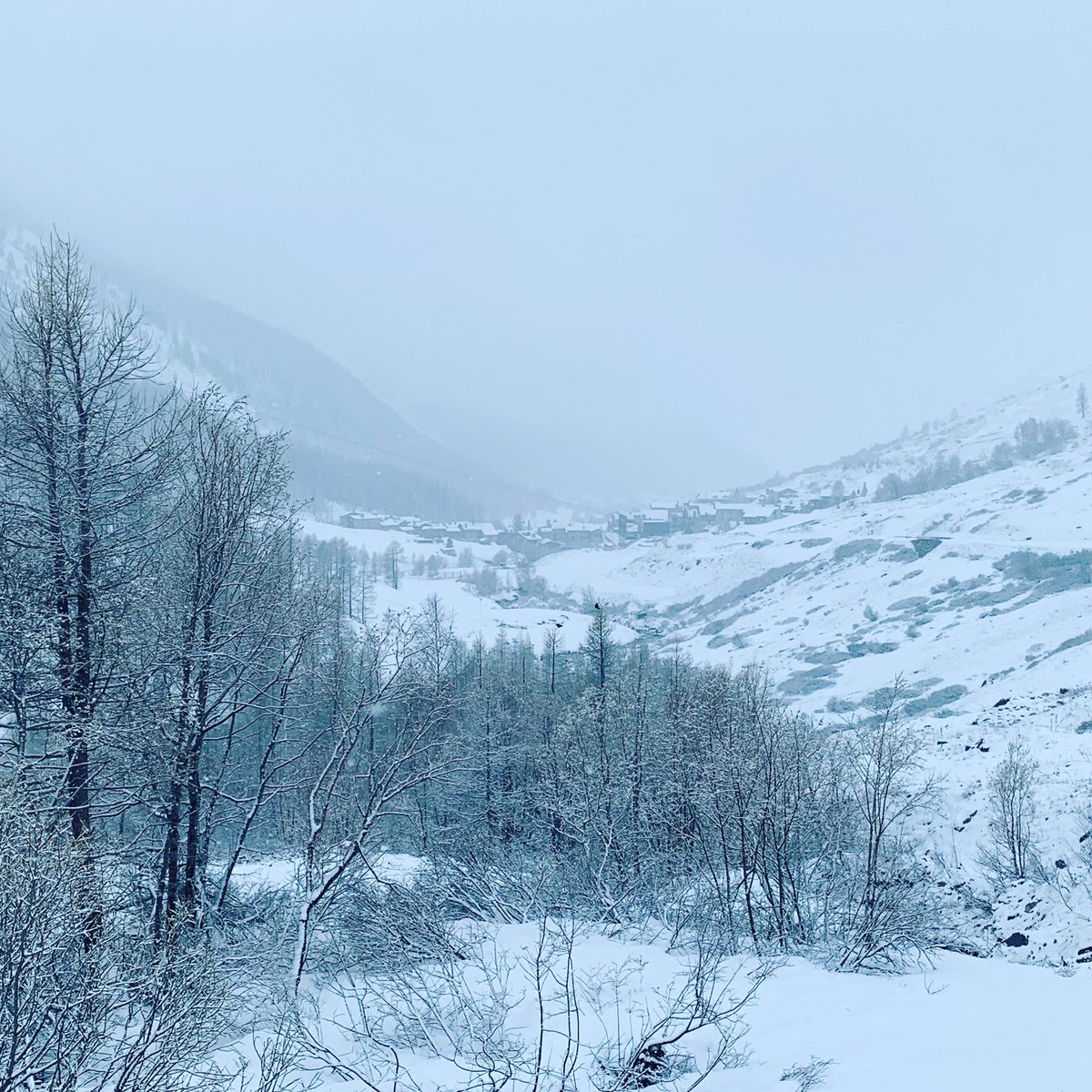 Europe Transfer tweet media