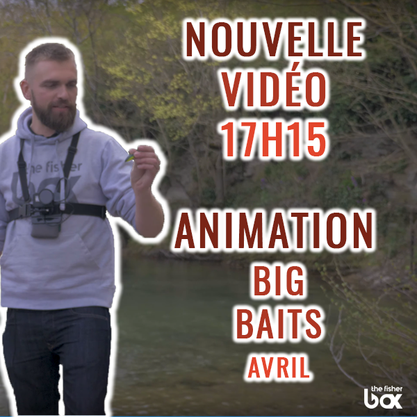 thefisherbox's tweet photo. 🔥 NOUVELLE VIDÉO 🔥
Ce soir à 17h15 retrouvez Kévin dans l'animation de la box BIG BAITS du mois d'Avril ! 😍🎣

👉 N’oubliez pas de commander votre Box du mois de Mai sur https://t.co/qYynemskfJ https://t.co/RibybIJJby