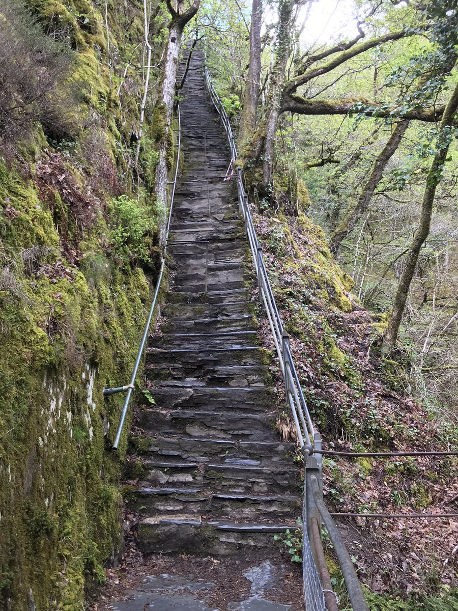 Dyson1Jen's tweet photo. Wonderfully relaxing week spent in Pontrhydfendigaid, with endless walks,and stunning scenery and wildlife @visitwales #pontrhydfendigaid #llwynteifi #Wales https://t.co/gSf4Stas4O