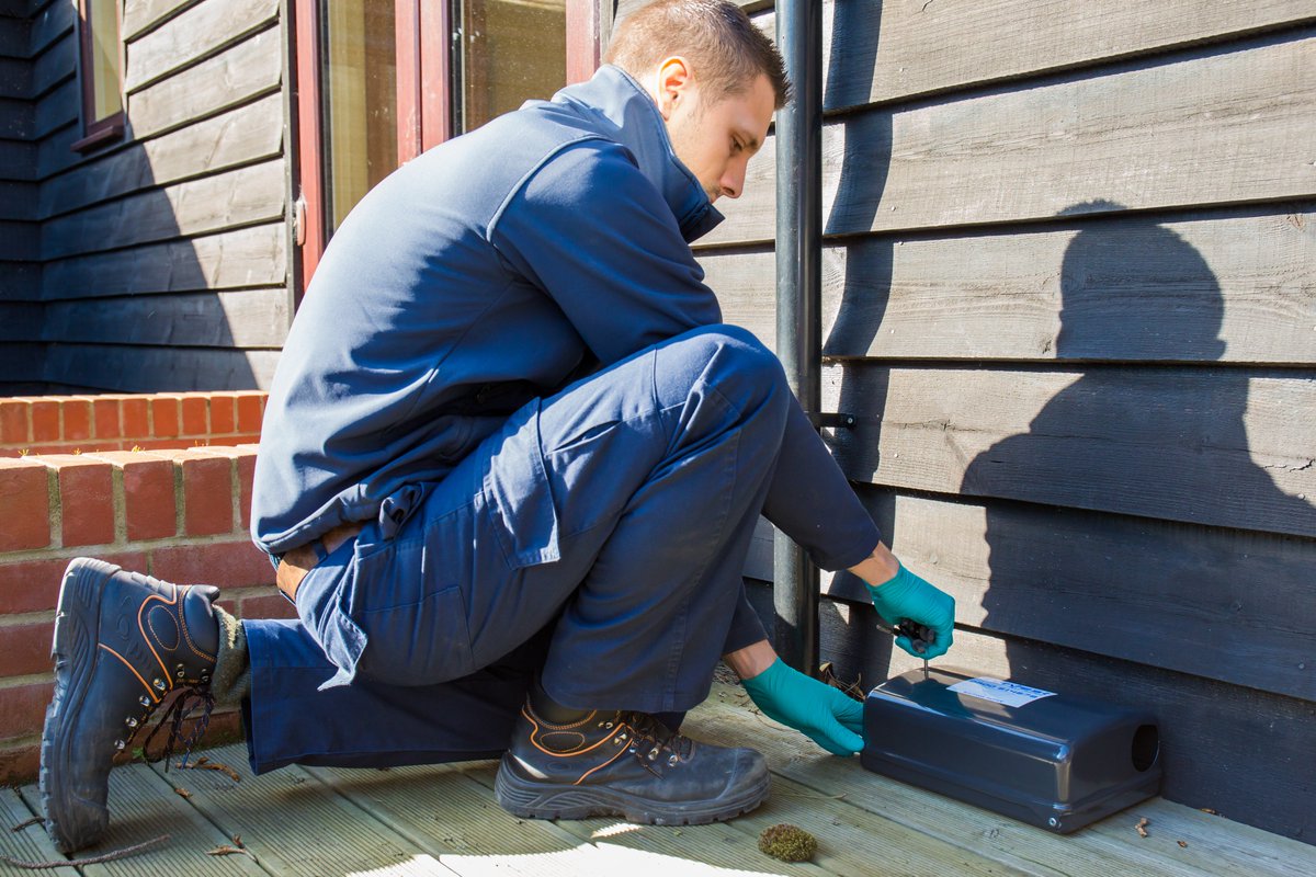 Our specialist technicians have a proven track record of expertise in dealing with all forms of pest challenges and are committed to providing solutions to safeguard your business. atalianservest.co.uk/services/pest-…