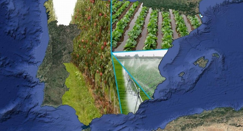 cgagarrido's tweet photo. 💦🌱🌳🍊✔️ Interesante análisis del #regadío a nivel español realizado por @iservia en @iAgua, a partir del "INFORME SOBRE REGADÍOS EN ESPAÑA, 2018" (#ESYRCE) que ha publicado el @mapagob:
1) 📈Análisis: https://t.co/CUz4d2RIZN
2) 📑 Informe: https://t.co/ZiQiwkS0WQ https://t.co/97GgpfqxKT