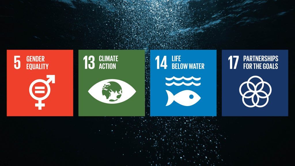 We are proud to release the very first ‘Nor-Shipping Principles’, as we believe that if we work together towards the same set of goals then this industry can be a powerful force for positive global change and environmental innovation. #oceansolutions 
buff.ly/2VuCekt