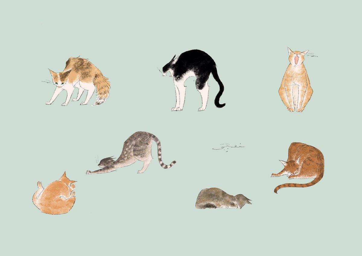 ねこ