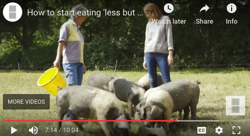 Eating_Better's tweet photo. How to start eating 'less but better' meat and dairy in this video shot with @hubbubUK we talk to @romshedfarm from our latest member @PastureForLife https://t.co/3v855ODdK3 #lessandbetter #pasturefarming https://t.co/nr53GgieoF