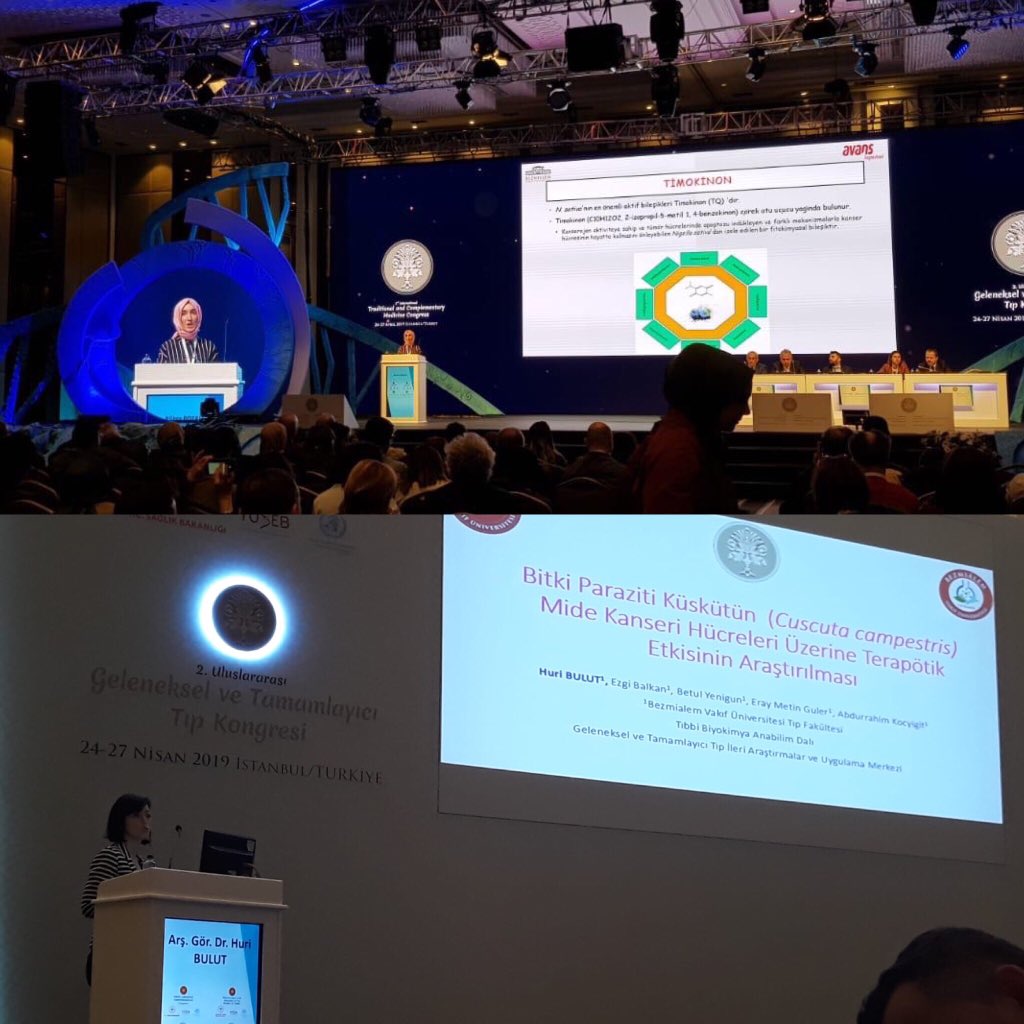 GETAMER’ de yürütülen bilimsel çalışmalarımızın sunumları Araş. Gör. Dr. Huri Bulut ve Öğrencimiz Kübra Bozali tarafından başarıyla tamamlandı. #getat2019 #ISTKA #getamer