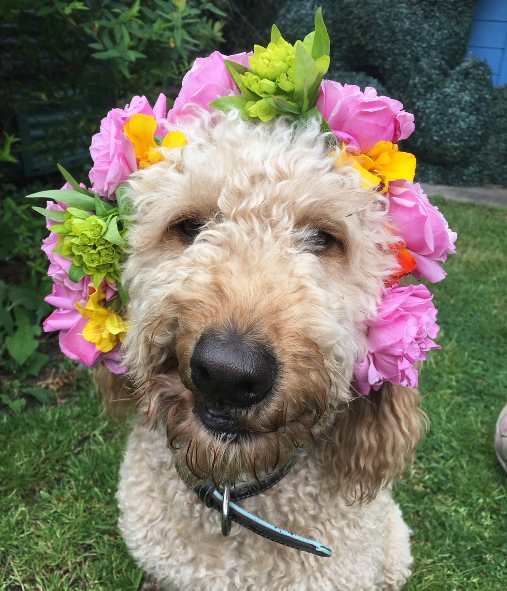 Naomi Schillinger tweet media