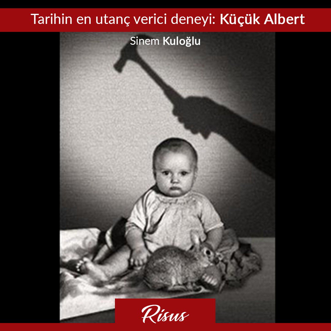 Tarihin en utanç verici korkunç deneyi diye akıllara kazınan bu Küçük Albert deneyi nedir ve deney uğruna 8 aylık bir bebeği kullanan bilim insanı kimdir, diyerek başlayalım.Yazının devamını ve daha fazlasını profilimizdeki linkte bulabilirsiniz #psikoloji #insan  #tarih #dünya
