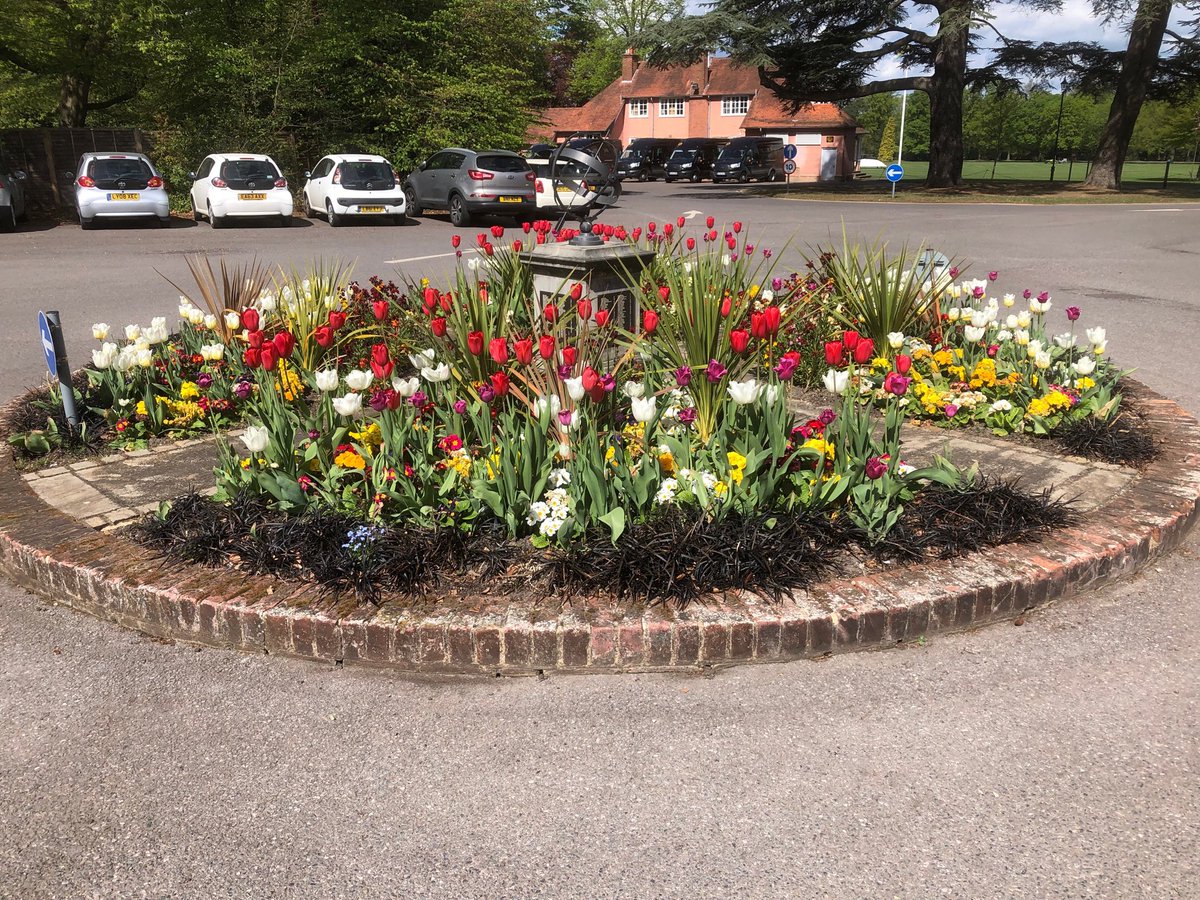 wellygardens's tweet photo. After the warm spell last week temperatures are back to the seasonal average but already the site (campus!) is in the firm grip of Mid-Spring. https://t.co/tFVs2Vni2k