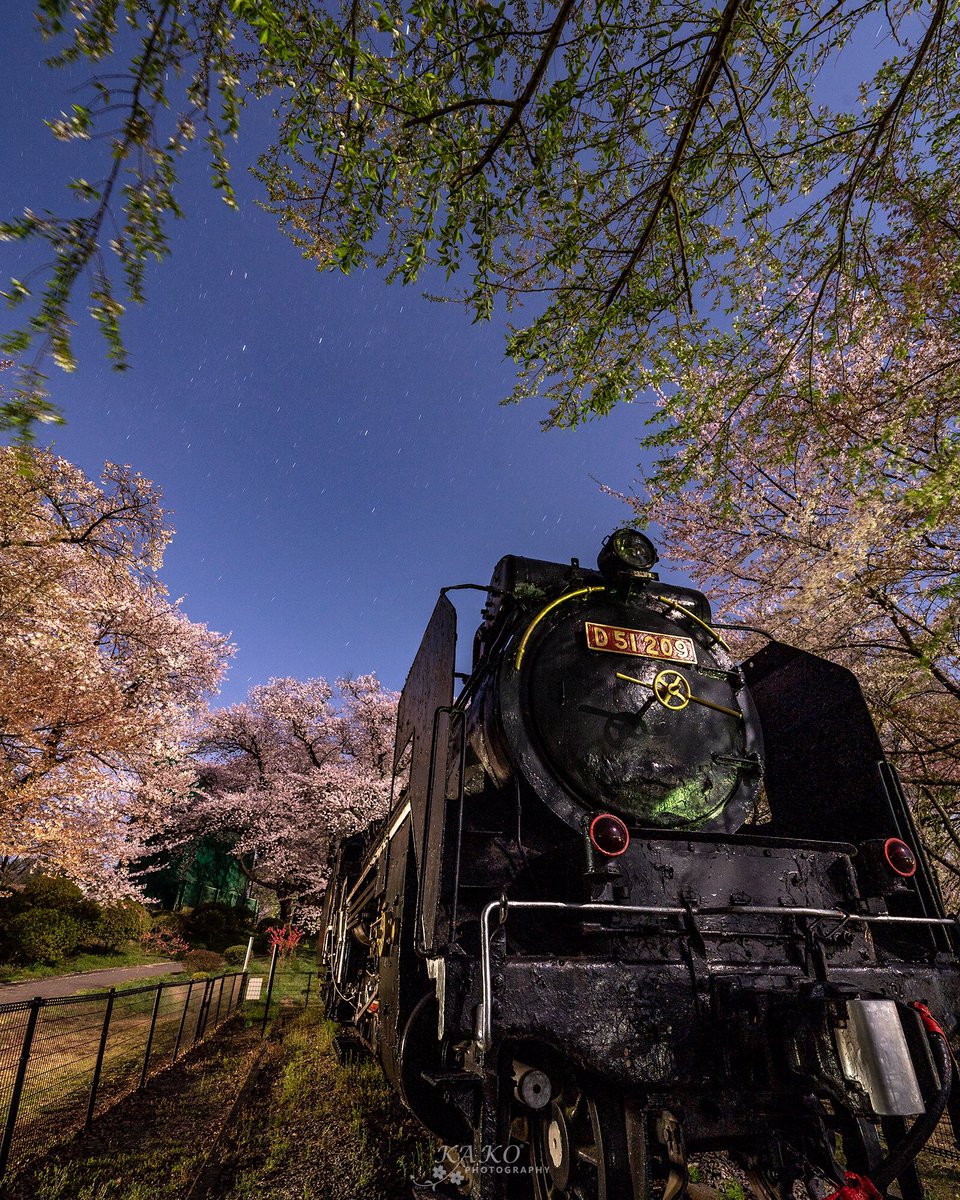 Y Kako 伊那公園のd51と桜 伊那公園 Tokyocameraclub 東京カメラ部 Y Kako 伊那公園のd51と桜 伊那公園 Tokyocameraclub 東京カメラ部