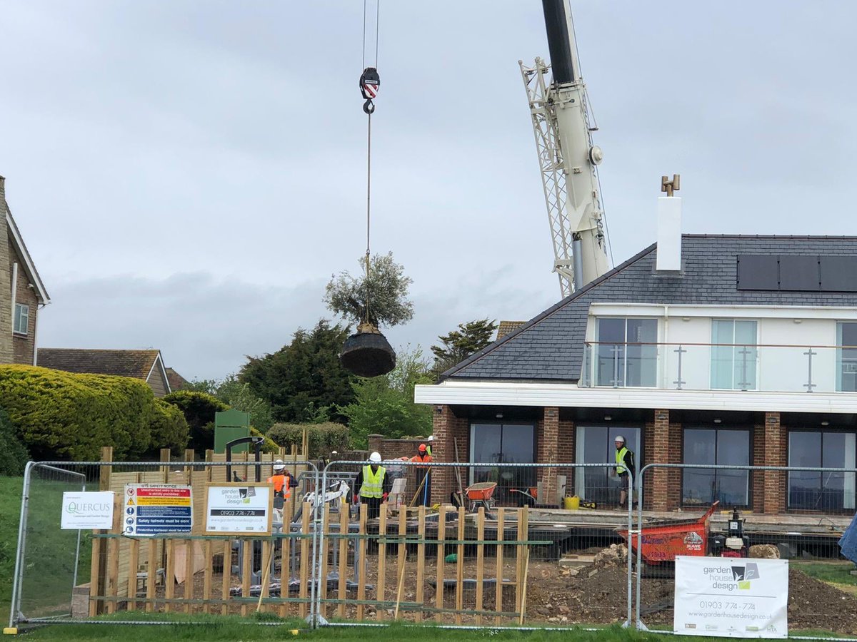 Exciting day yesterday on our coastal Sussex project. Olives being lifted in before storm Hannah arrives! Plant passports all checked and approved #weareapl #planthealthy,