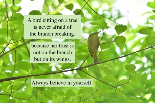 みずはら mizuhara (@gibbous_leo) / Posts / X