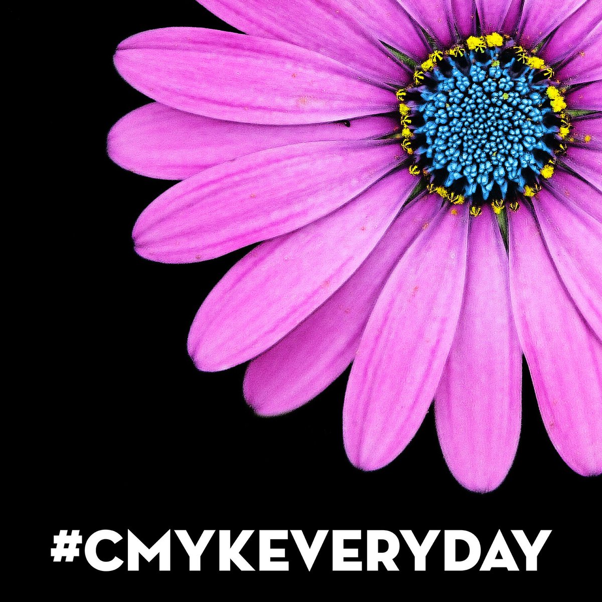 ShweikiMedia's tweet photo. CMYK Everyday! Have a great fiesta 🎉🎊💐

#cmykeveryday #cmyk #welovemagazines #magazineprinting #printmagazine #magazine #printing #makinglivesbetterthroughprint #shweikimedia #selfpublish #fiesta2019 #fiestasanantonio #vivafiesta2019 #battleofflowersparade #battleofflowers2019 https://t.co/CX8RQAtL5V