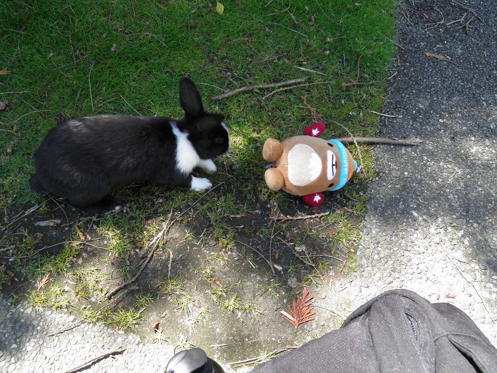 levalee's tweet image. Happy #etug Flashback Friday 2009-10! Check out this video @etug. Will be sure to put a smile on your face. See if you  can spot your (much younger) self! bit.ly/2UJmEwS For the full post: bit.ly/2DBAagt