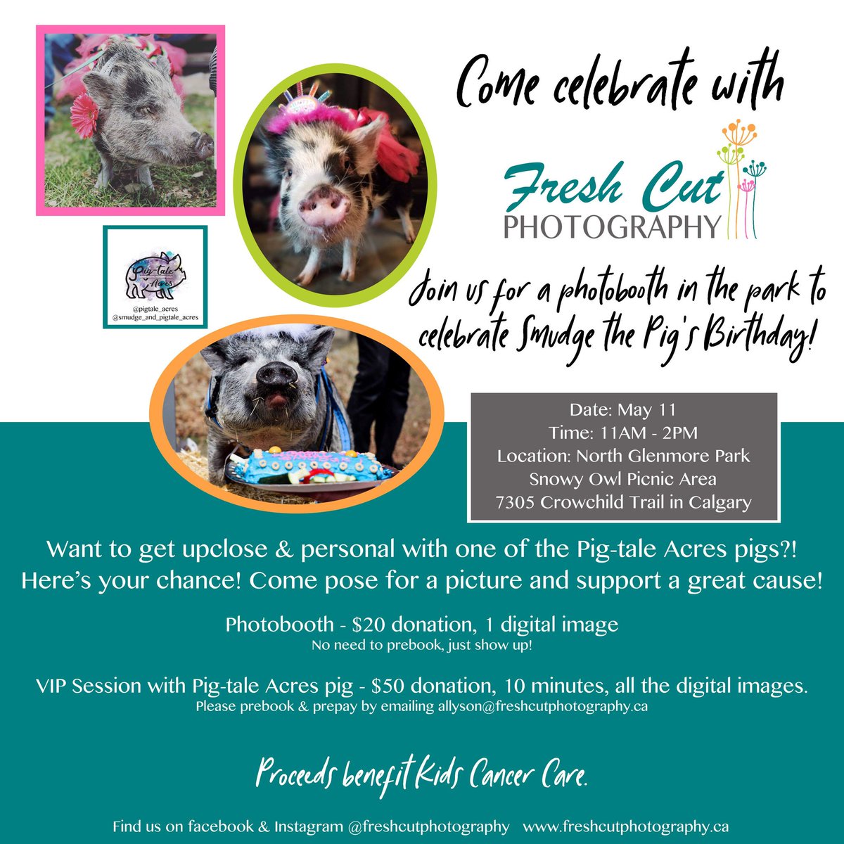Pigtaleacres's tweet photo. We are having VIP mini photo sessions at our event! Only 10 spots available!! Please share! 🐽📷
#pigtaleacres #kidscancercare #fundraisingevent #photosessions #pigparty #familyevent https://t.co/GUDQ3ZvjSY