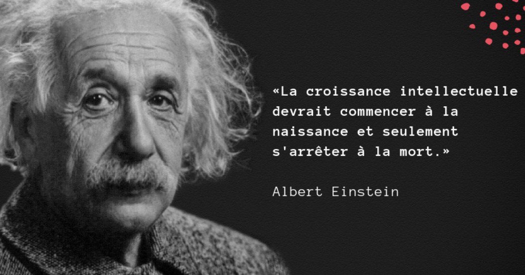 AFI Expertise (@afiexpertise) on Twitter photo 