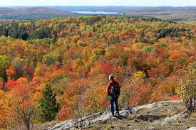 TravelCanada3's tweet photo. Experience the ultimate Canadiana wilderness in this iconic park, year-round activities include hiking, paddling and dog-sledding. Check out the live webcam!

https://t.co/HDdime9UpR

#algonquin #travel #travelcanada #canadianwilderness https://t.co/sKt19GiPkp