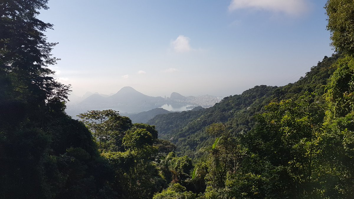 russdanks's tweet photo. 🇧🇷💃 Rio is truly stunning. #realinrio https://t.co/adRWVVy0ha