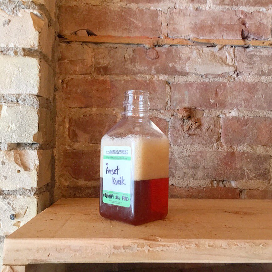 Folly Brewing tweet media