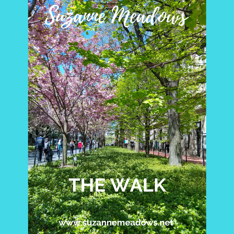 SuZanneMea's tweet photo. Oprah once said “when your dreams come true, dream bigger”! 

When you hit a milestone or crossroad do you continue on the same path, you thought you “should” be on? Do you ever pause and wonder if you still really want this??? It's your WALK!

@Columbia @ColumbiaLaw @FIT @Oprah https://t.co/xYfcTgg9TB