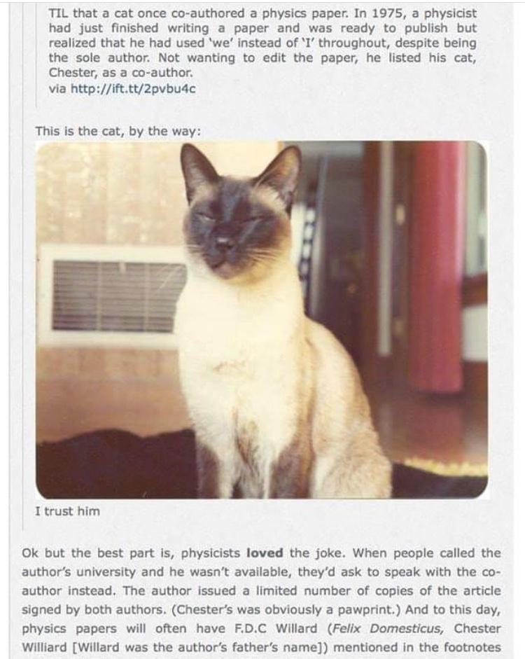 ok angry rant over, enjoy the cat who was a co-author on a physics paper